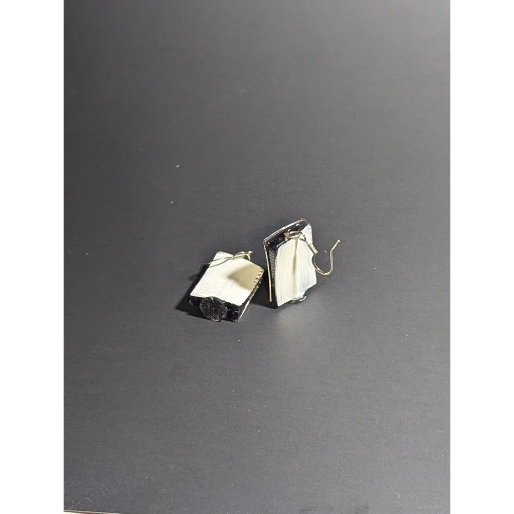 PS5- PlayStation Gamers earrings